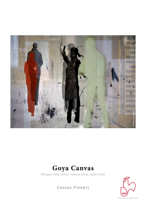 Hahnemühle Goya Canvas